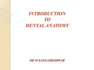 INTRODUCTION
TO
DENTAL ANATOMY
DR M SANGAMESHWAR
 
