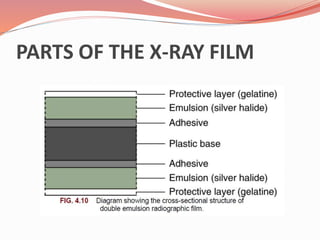 Inverted Radiographic Film introduction to dental radiology.PPTX