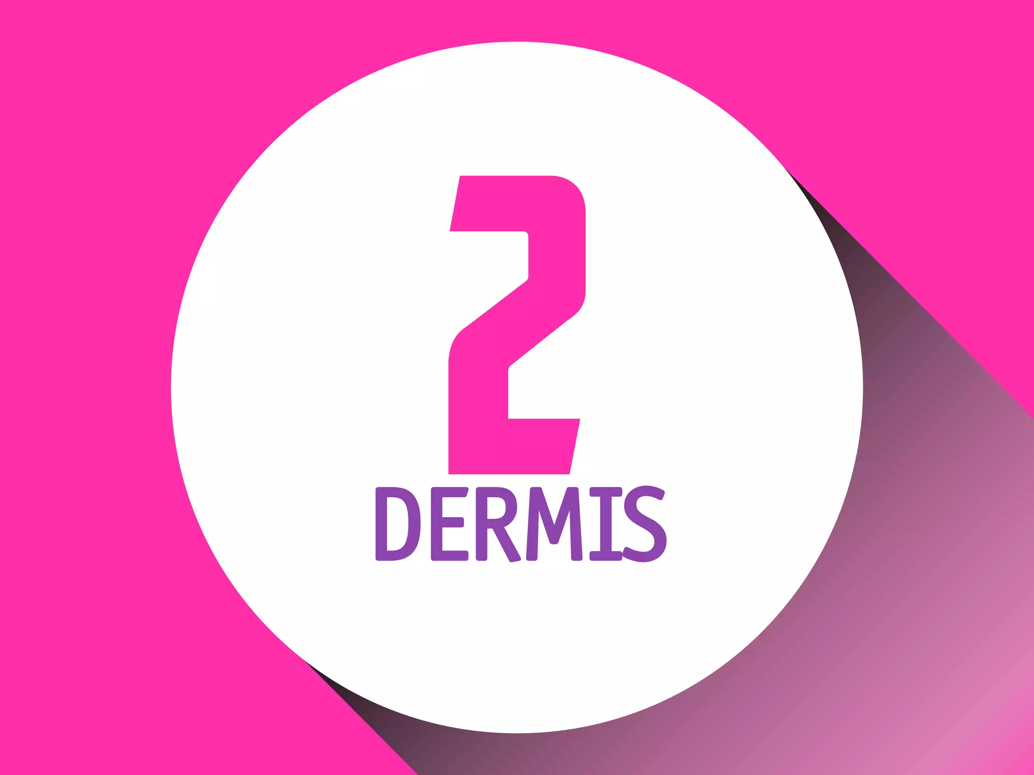 DERMIS