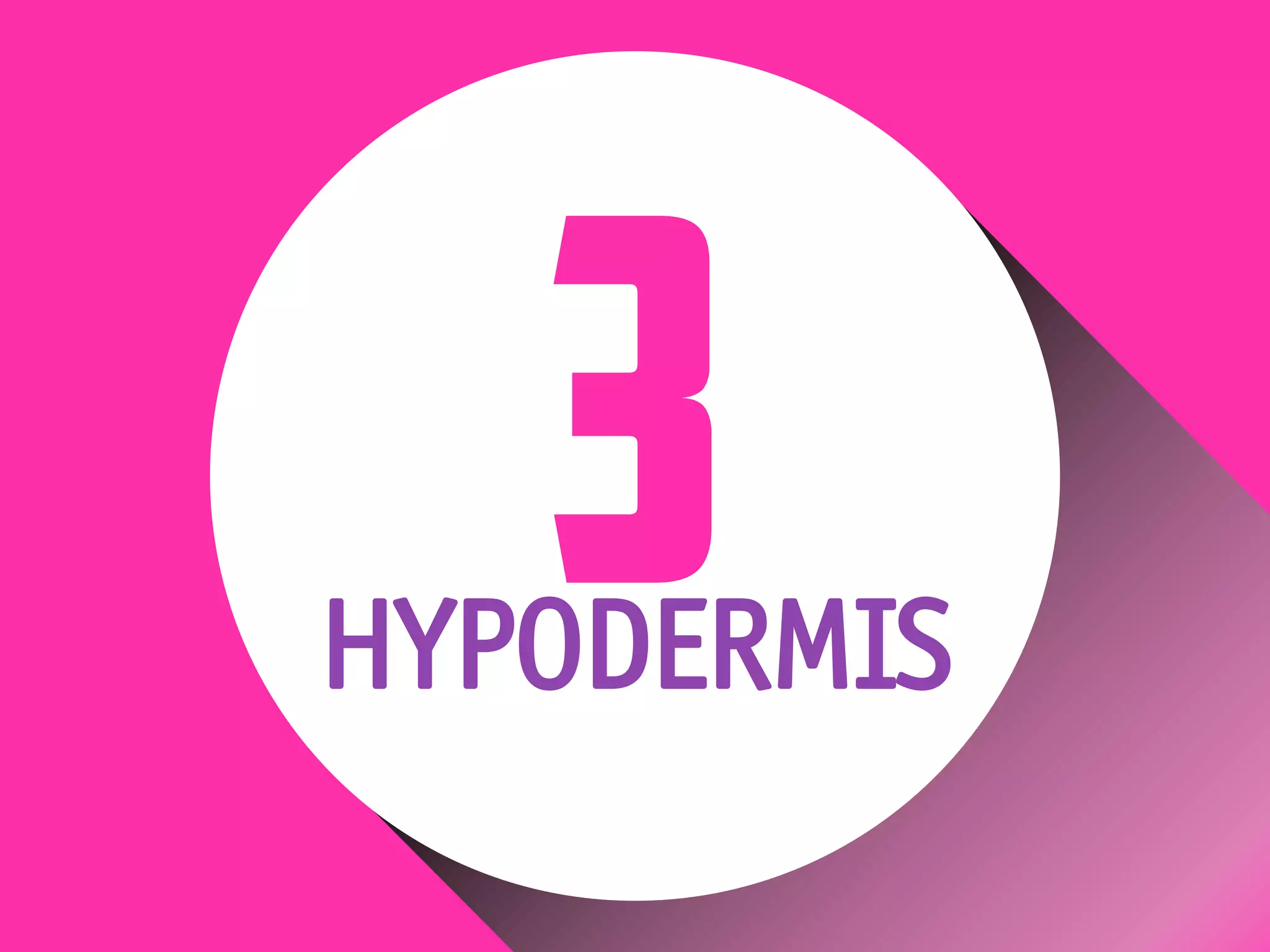HYPODERMIS