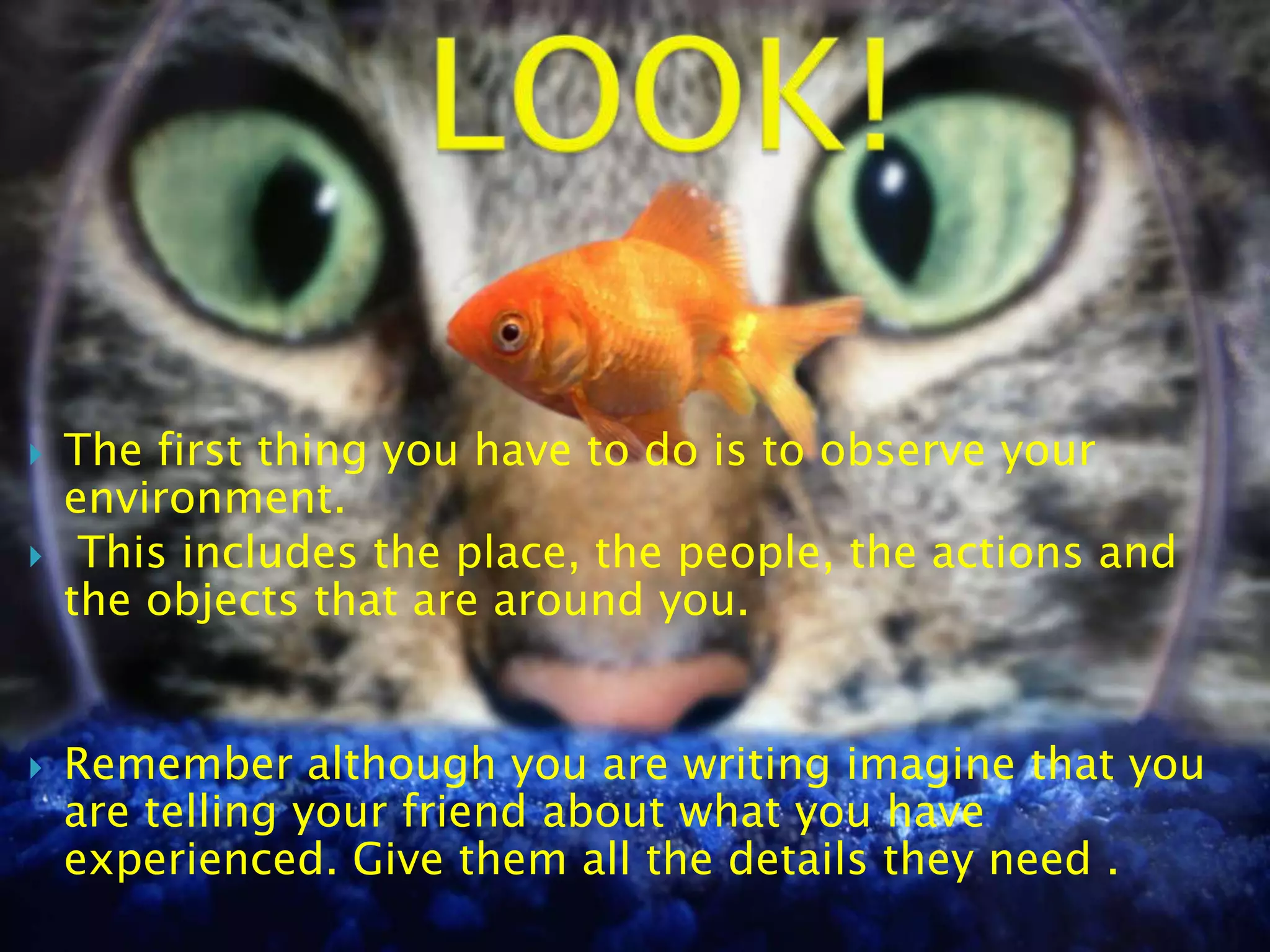 LOOK!The first thing you have to do is to observe your environment. This includes the place, the people, the actions and the objects that are around you.Remember although you are writing imagine that you are telling your friend about what you have experienced. Give them all the details they need . 