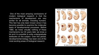 INTRODUCTION TO DEVELOPMENTAL BIOLOGY.pptx