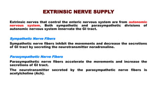 EXTRINSIC NERVE SUPPLY
Extrinsic nerves that control the enteric nervous system are from autonomic
nervous system. Both sympathetic and parasympathetic divisions of
autonomic nervous system innervate the GI tract.
Sympathetic Nerve Fibers
Sympathetic nerve fibers inhibit the movements and decrease the secretions
of GI tract by secreting the neurotransmitter noradrenaline.
Parasympathetic Nerve Fibers
Parasympathetic nerve fibers accelerate the movements and increase the
secretions of GI tract.
The neurotransmitter secreted by the parasympathetic nerve fibers is
acetylcholine (Ach).
 