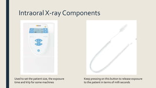Intraoral X-ray Components
Used to set the patient size, the exposure
time and kVp for some machines
Keep pressing on this button to release exposure
to the patient in terms of milli seconds
 