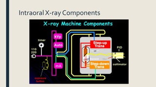 Intraoral X-ray Components
 