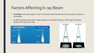 Factors Affecting X-ray Beam
• Focal Spot is the small region or spot in the anode where the electrons hit the region to produce x-
ray photons
• Smaller focal spots give better image quality and increased sharpness, while larger focal spots
produce blurring in the image
 