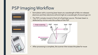 PSP ImagingWorkflow
• Stimulation with a scanning laser beam at a wavelength of 660 nm releases
electrons and then electrons will emit light at a wavelength of around 390 nm
• The PSP is simply moved in front of a fixed laser source.The laser beam is
deflected by mirrors onto the surface of the PSP
• After processing is complete, the scanner then erases the plate for reuse
 