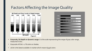 Factors Affecting the Image Quality
• Grayscale, bit depth or dynamic range: it is the scale representing the range of gray color range,
measured in bits.
• Grayscale of 8 bit = 2^8 colors or shades
• 16 bit is the latest available in market which means 65536 colors
 