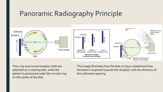 Panoramic Radiography Principle
The x-ray source and receptor, both are
attached on a rotating disk, while the
patient is positioned under the circular ring
on the center of the disk
This image illustrates how the disk or ring is rotated and how
the beam is exposed towards the receptor, with the direction of
the collimator opening
 