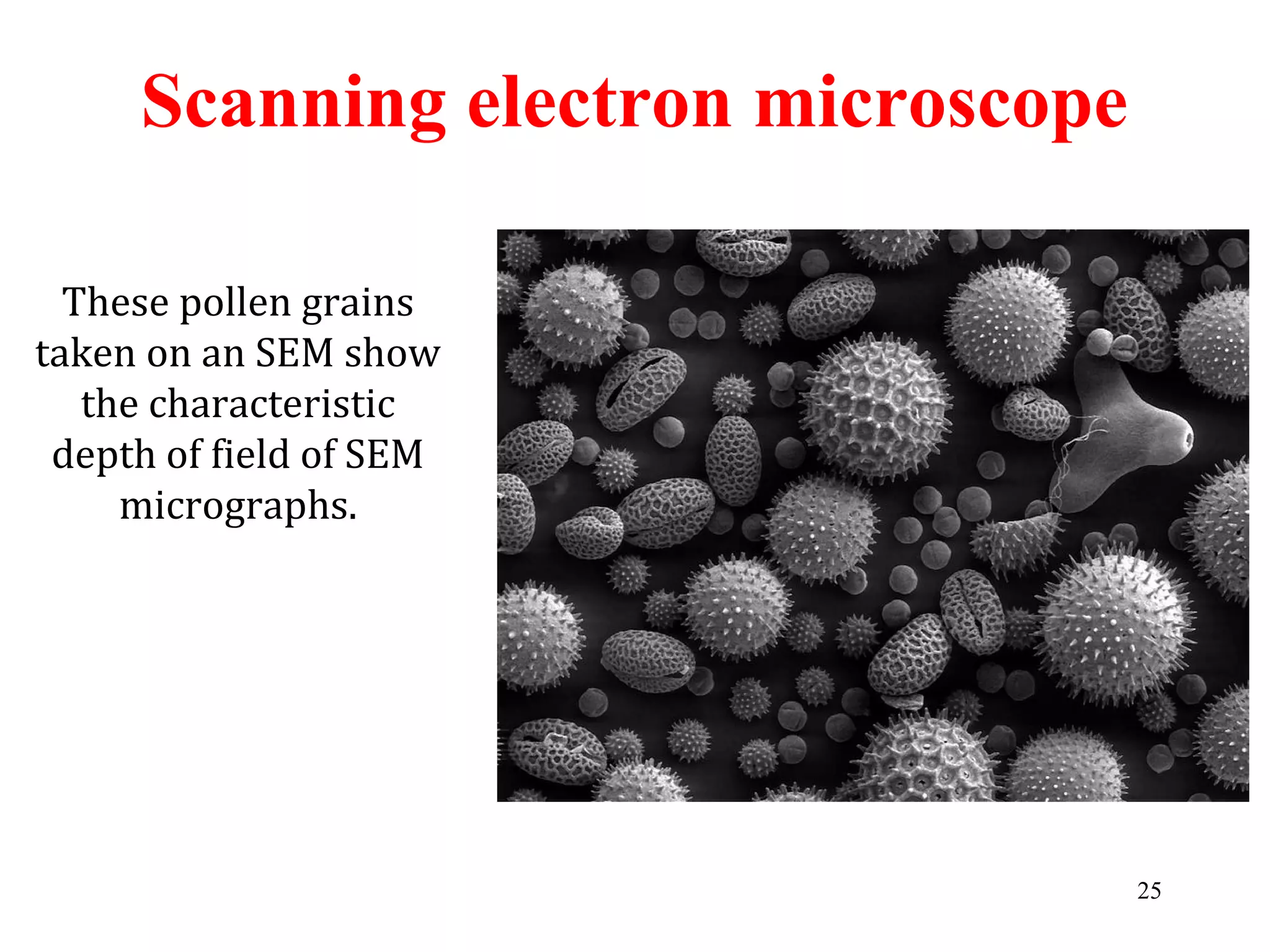 Scanning electron microscope
These pollen grains
taken on an SEM show
the characteristic
depth of field of SEM
micrographs.
25
 