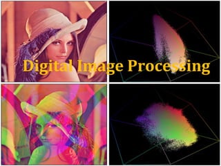 1
Digital Image Processing
 