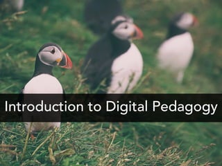 Introduction to Digital Pedagogy
 