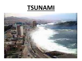 TSUNAMI
 