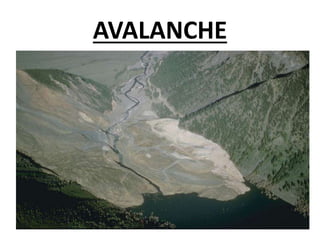 AVALANCHE
 