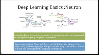 Deep Learning Basics :Neuron
An artificial neuron contains a nonlinear activation function and has several
incoming and outgoing weighted connections.
Neurons are trained filters and detect specific features or patterns (e.g.
edge, nose) by receiving weighted input, transforming it with the activation
function and passing it to the outgoing connections
 