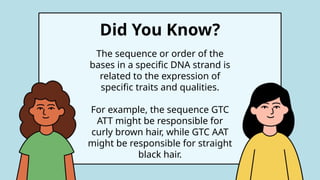introduction to DNA structure of DNA.pptx