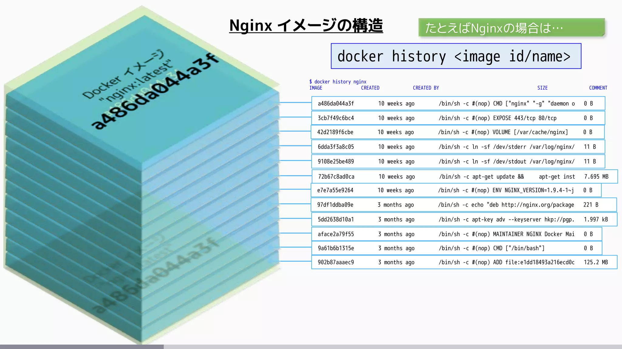 Nginx イメージの構造
902b87aaaec9 3 months ago /bin/sh -c #(nop) ADD file:e1dd18493a216ecd0c 125.2 MB
9a61b6b1315e 3 months ago /bin/sh -c #(nop) CMD ["/bin/bash"] 0 B
aface2a79f55 3 months ago /bin/sh -c #(nop) MAINTAINER NGINX Docker Mai 0 B
5dd2638d10a1 3 months ago /bin/sh -c apt-key adv --keyserver hkp://pgp. 1.997 kB
97df1ddba09e 3 months ago /bin/sh -c echo "deb http://nginx.org/package 221 B
e7e7a55e9264 10 weeks ago /bin/sh -c #(nop) ENV NGINX_VERSION=1.9.4-1~j 0 B
72b67c8ad0ca 10 weeks ago /bin/sh -c apt-get update && apt-get inst 7.695 MB
9108e25be489 10 weeks ago /bin/sh -c ln -sf /dev/stdout /var/log/nginx/ 11 B
6dda3f3a8c05 10 weeks ago /bin/sh -c ln -sf /dev/stderr /var/log/nginx/ 11 B
42d2189f6cbe 10 weeks ago /bin/sh -c #(nop) VOLUME [/var/cache/nginx] 0 B
3cb7f49c6bc4 10 weeks ago /bin/sh -c #(nop) EXPOSE 443/tcp 80/tcp 0 B
a486da044a3f 10 weeks ago /bin/sh -c #(nop) CMD ["nginx" "-g" "daemon o 0 B
$ docker history nginx
IMAGE CREATED CREATED BY SIZE COMMENT
docker history <image id/name>
たとえばNginxの場合は…
 