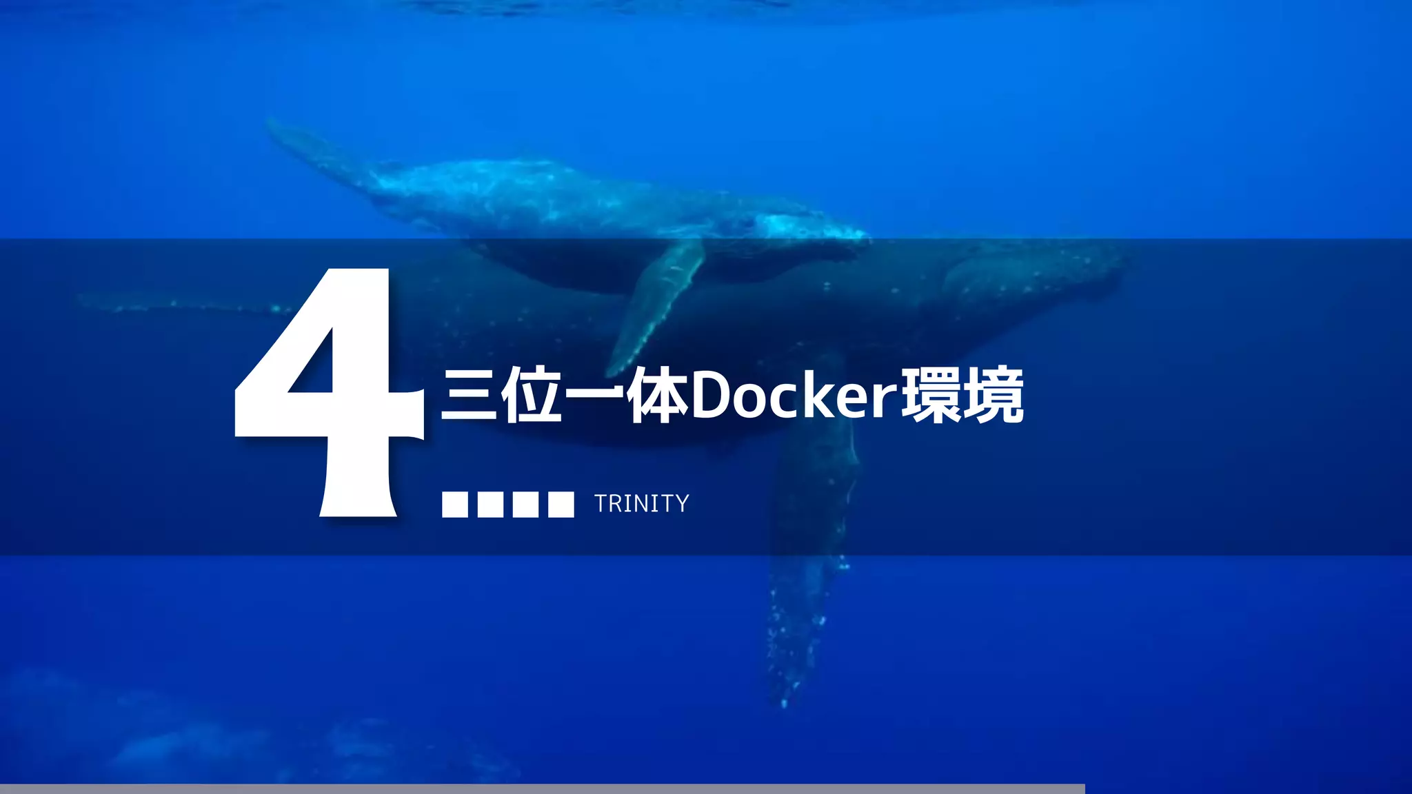 三位一体Docker環境
4■■■■ TRINITY
 