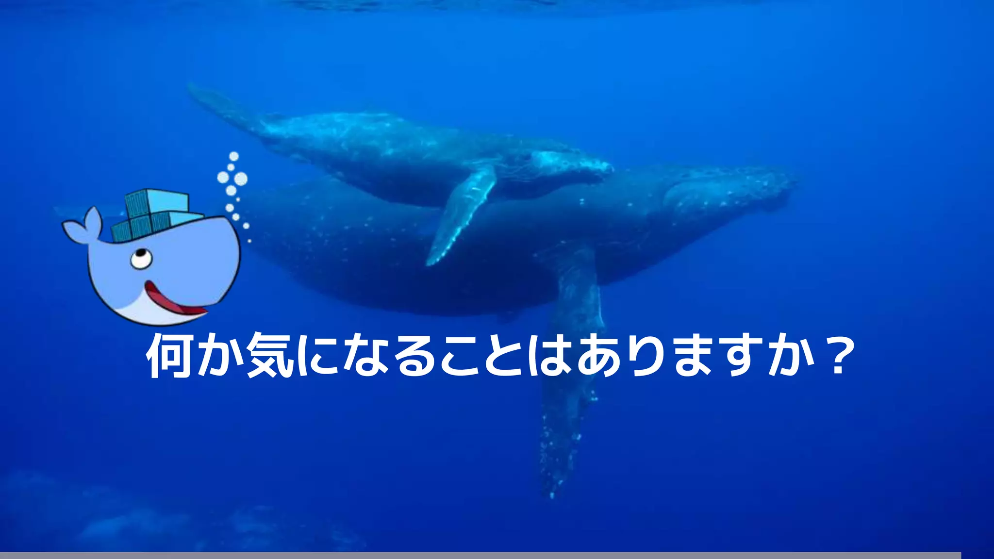 176
何か気になることはありますか？
 