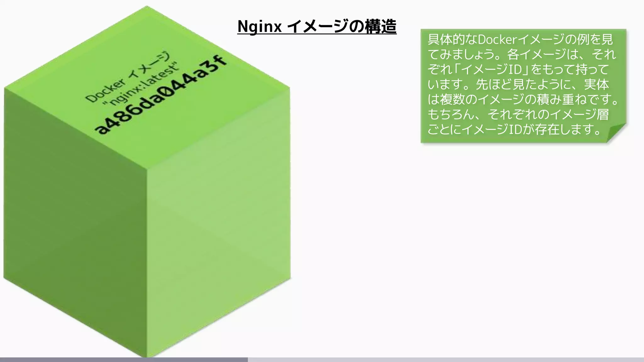 Nginx イメージの構造
具体的なDockerイメージの例を見
てみましょう。各イメージは、それ
ぞれ「イメージID」をもって持って
います。先ほど見たように、実体
は複数のイメージの積み重ねです。
もちろん、それぞれのイメージ層
ごとにイメージIDが存在します。
 