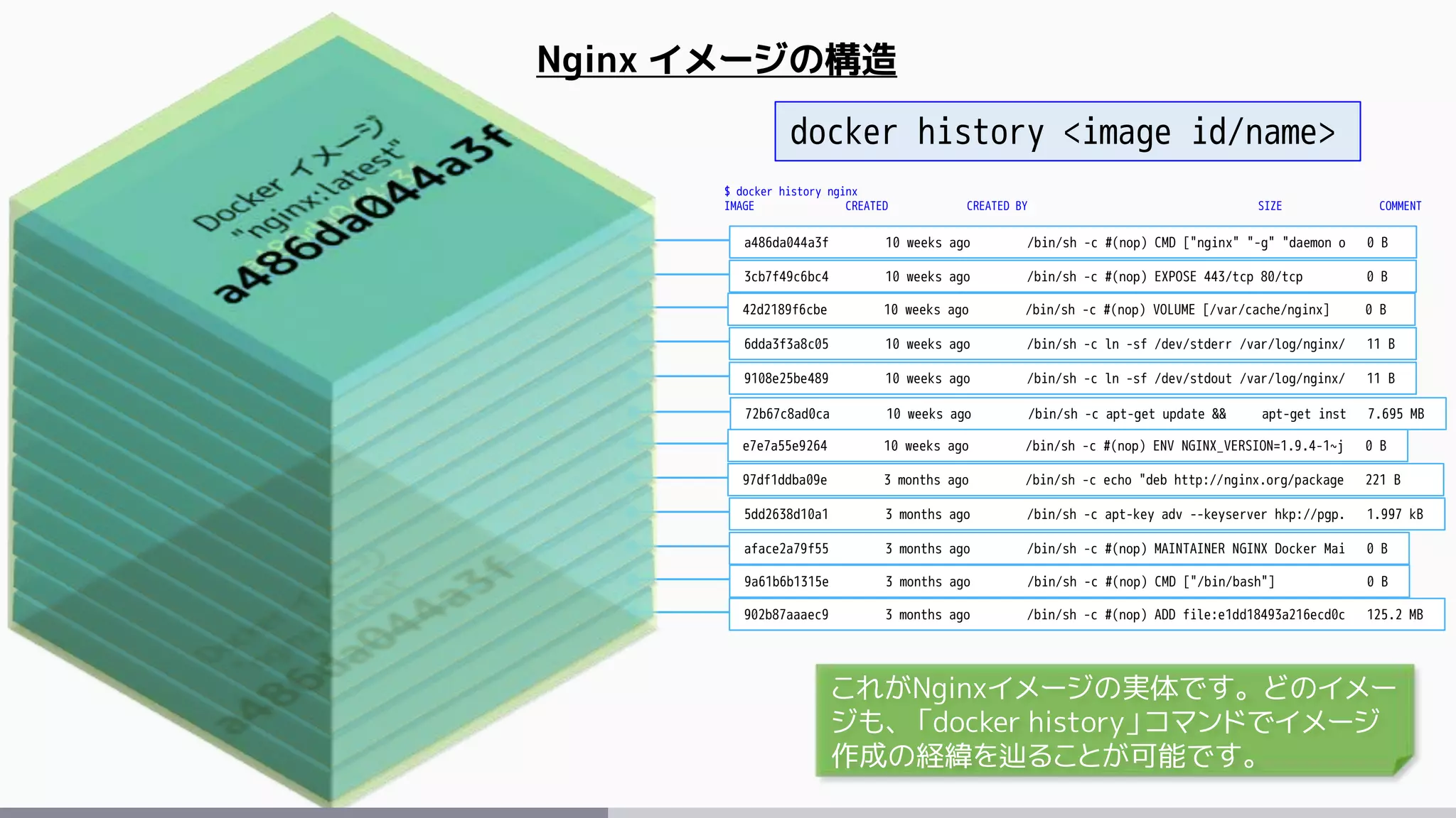 Nginx イメージの構造
902b87aaaec9 3 months ago /bin/sh -c #(nop) ADD file:e1dd18493a216ecd0c 125.2 MB
9a61b6b1315e 3 months ago /bin/sh -c #(nop) CMD ["/bin/bash"] 0 B
aface2a79f55 3 months ago /bin/sh -c #(nop) MAINTAINER NGINX Docker Mai 0 B
5dd2638d10a1 3 months ago /bin/sh -c apt-key adv --keyserver hkp://pgp. 1.997 kB
97df1ddba09e 3 months ago /bin/sh -c echo "deb http://nginx.org/package 221 B
e7e7a55e9264 10 weeks ago /bin/sh -c #(nop) ENV NGINX_VERSION=1.9.4-1~j 0 B
72b67c8ad0ca 10 weeks ago /bin/sh -c apt-get update && apt-get inst 7.695 MB
9108e25be489 10 weeks ago /bin/sh -c ln -sf /dev/stdout /var/log/nginx/ 11 B
6dda3f3a8c05 10 weeks ago /bin/sh -c ln -sf /dev/stderr /var/log/nginx/ 11 B
42d2189f6cbe 10 weeks ago /bin/sh -c #(nop) VOLUME [/var/cache/nginx] 0 B
3cb7f49c6bc4 10 weeks ago /bin/sh -c #(nop) EXPOSE 443/tcp 80/tcp 0 B
a486da044a3f 10 weeks ago /bin/sh -c #(nop) CMD ["nginx" "-g" "daemon o 0 B
$ docker history nginx
IMAGE CREATED CREATED BY SIZE COMMENT
docker history <image id/name>
これがNginxイメージの実体です。どのイメー
ジも、「docker history」コマンドでイメージ
作成の経緯を辿ることが可能です。
 