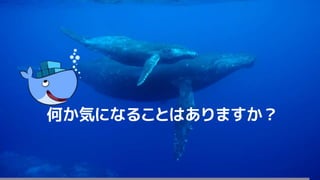 176
何か気になることはありますか？
 