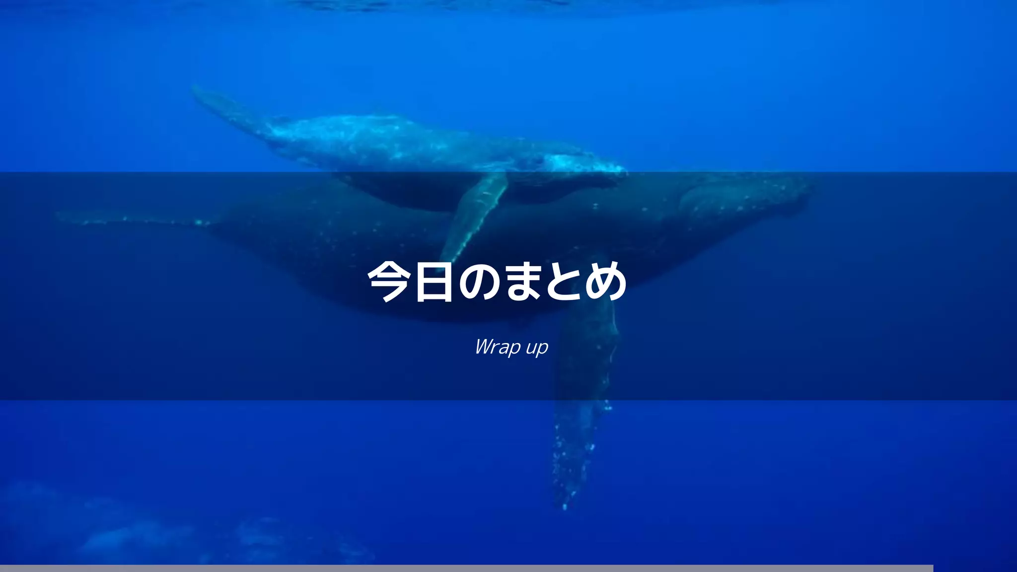 今日のまとめ
Wrap up
 