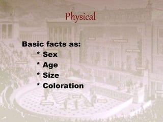 Physical
Basic facts as:
* Sex
* Age
* Size
* Coloration
 