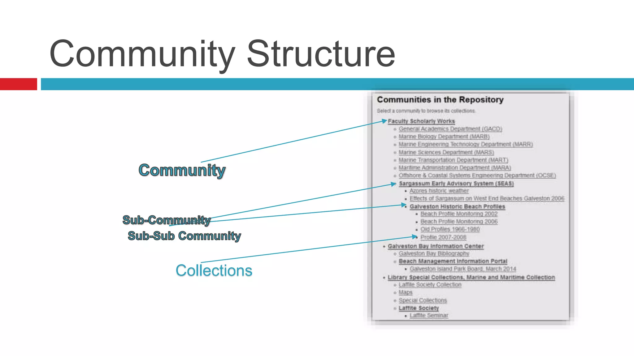 Community Structure
Collections
 