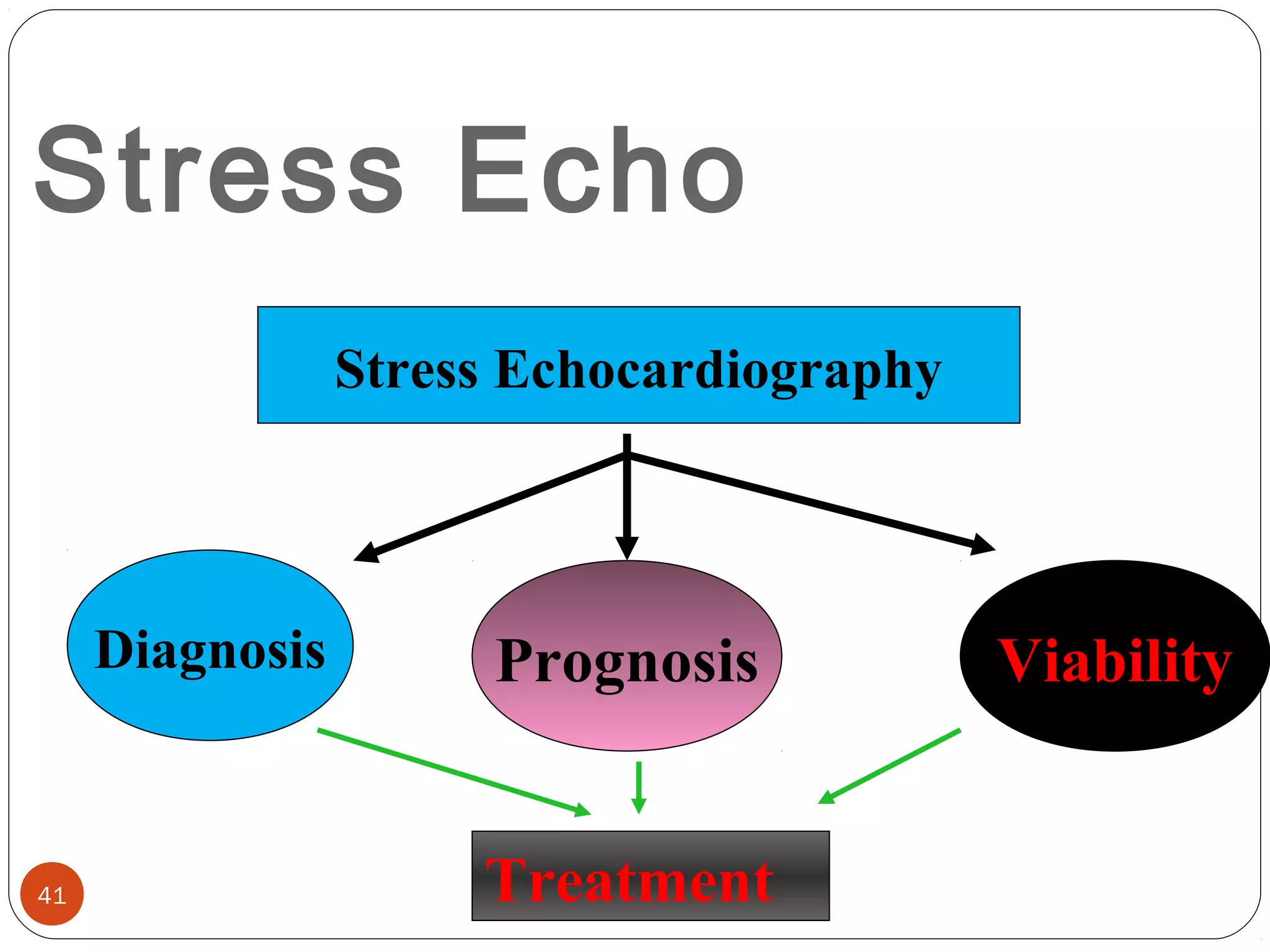 Stress Echo 
Stress Echocardiography 
Diagnosis Prognosis Viability 
Treatment 41 
 