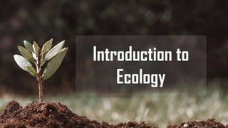 Introduction to
Ecology
 