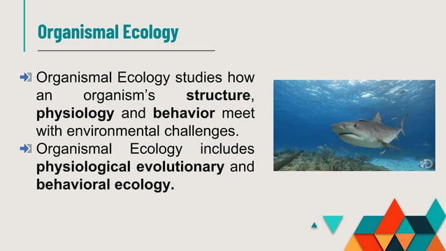 Introduction to Ecology PPT | PPTX
