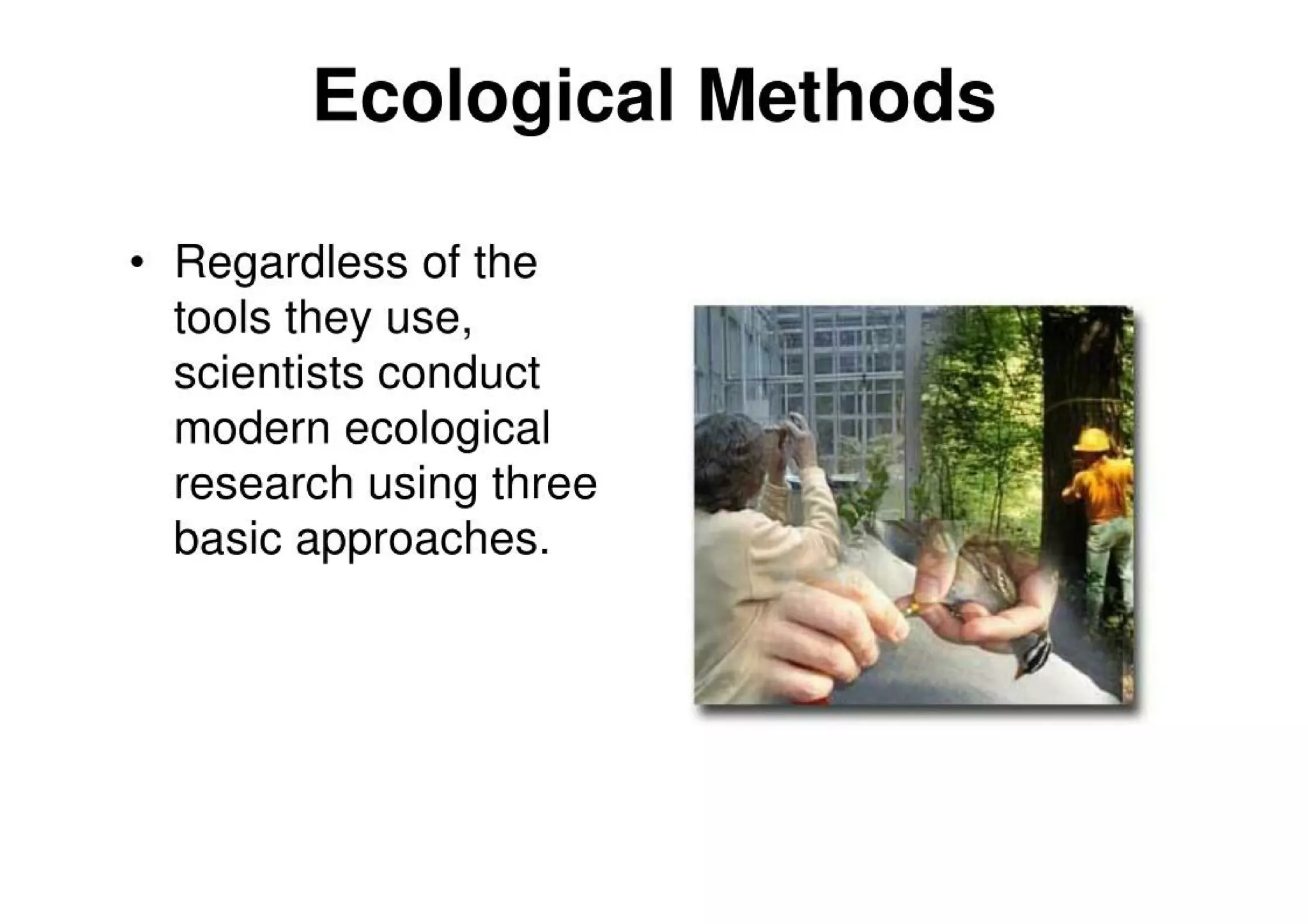 Introduction To Ecology