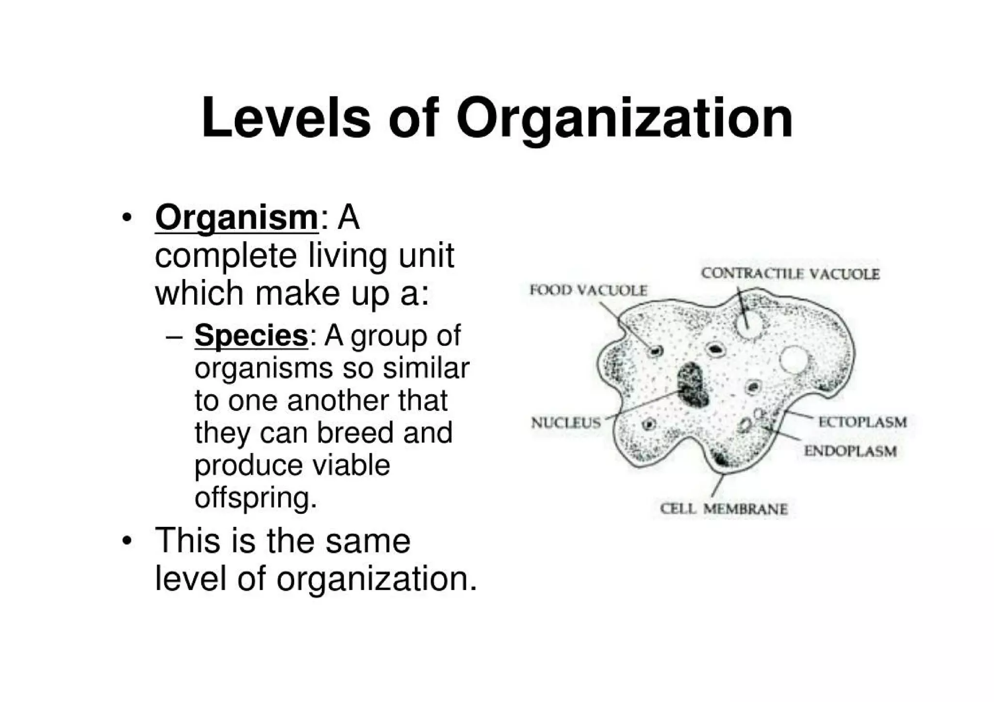 Introduction To Ecology