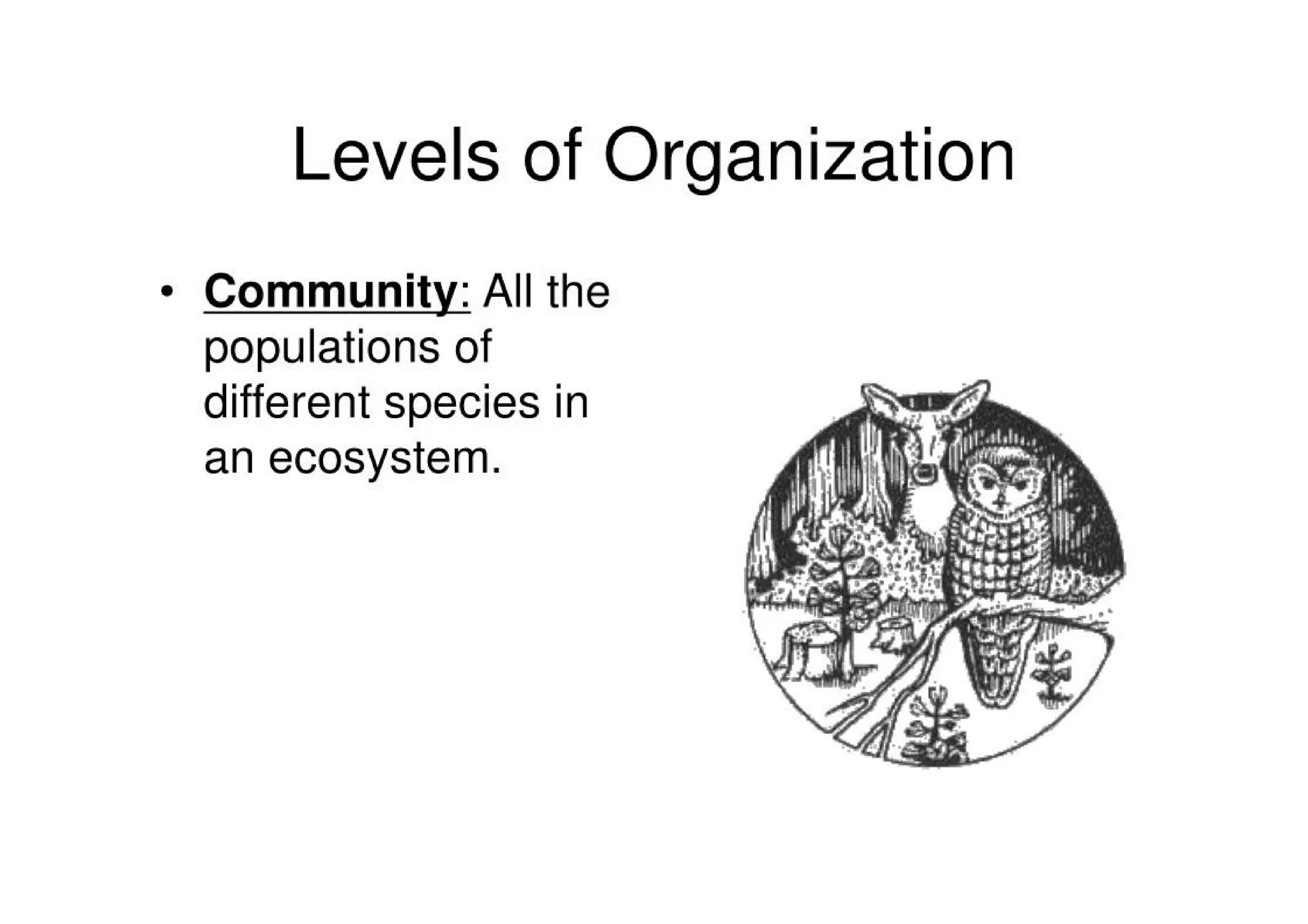 Introduction To Ecology