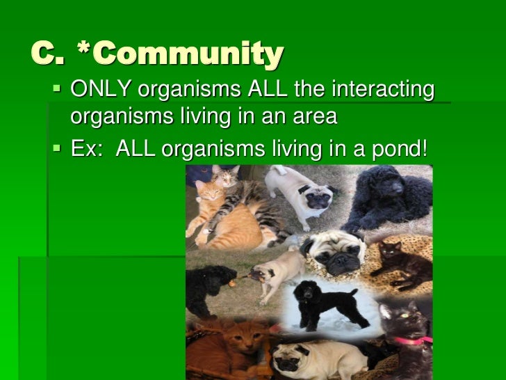 Introduction to ecology (short)