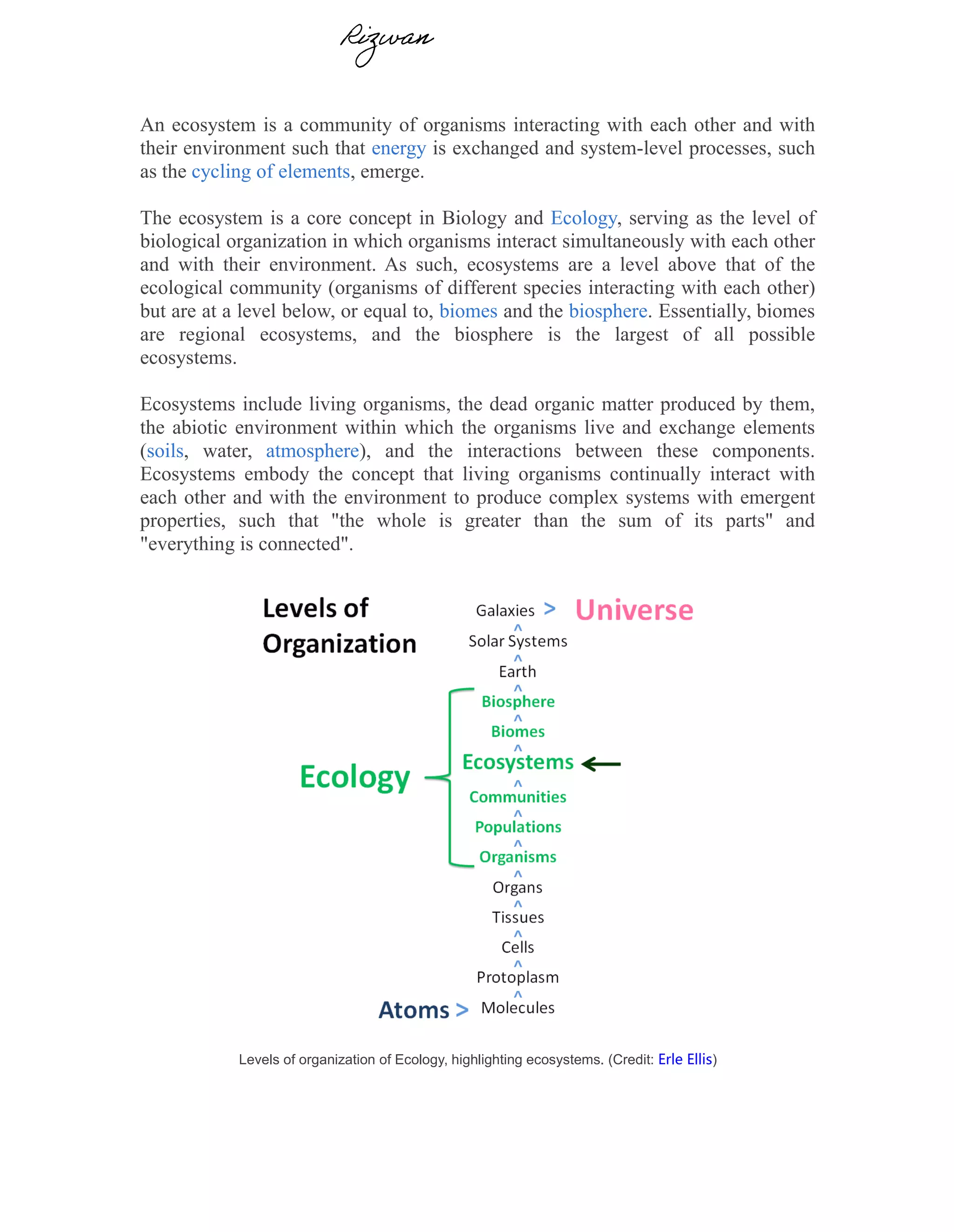 Introduction to ecosystem | PDF