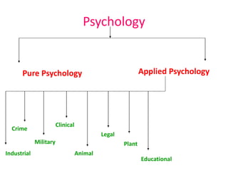 Psychology
Pure Psychology Applied Psychology
Industrial
Crime
Military
Clinical
Animal
Legal
Plant
Educational
 