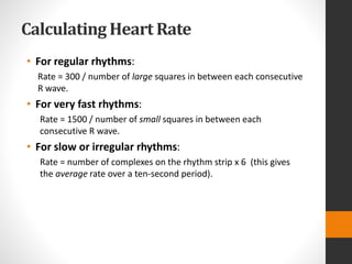 Rhythym Calculation Using 1500 Method Introduction to Electrocardiography | PPTX