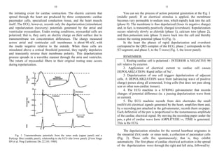 Introduction to Electrocariography(ecg).doc