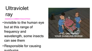 Ultraviolet
ray
• invisible to the human eye
but at this range of
frequency and
wavelength, some insects
can see them
• Responsible for causing
 