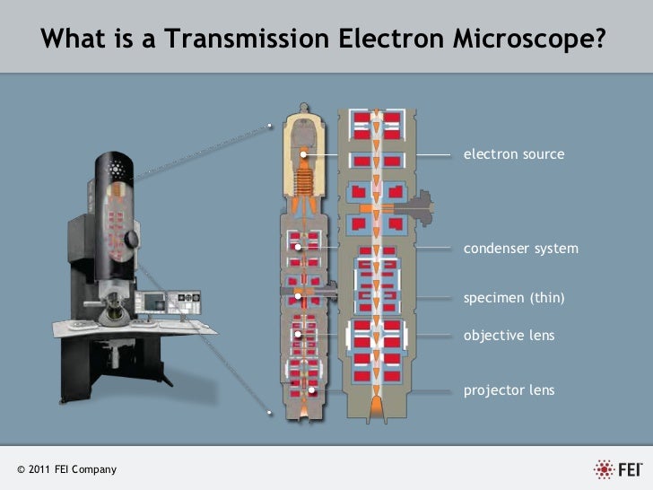 tem microscope