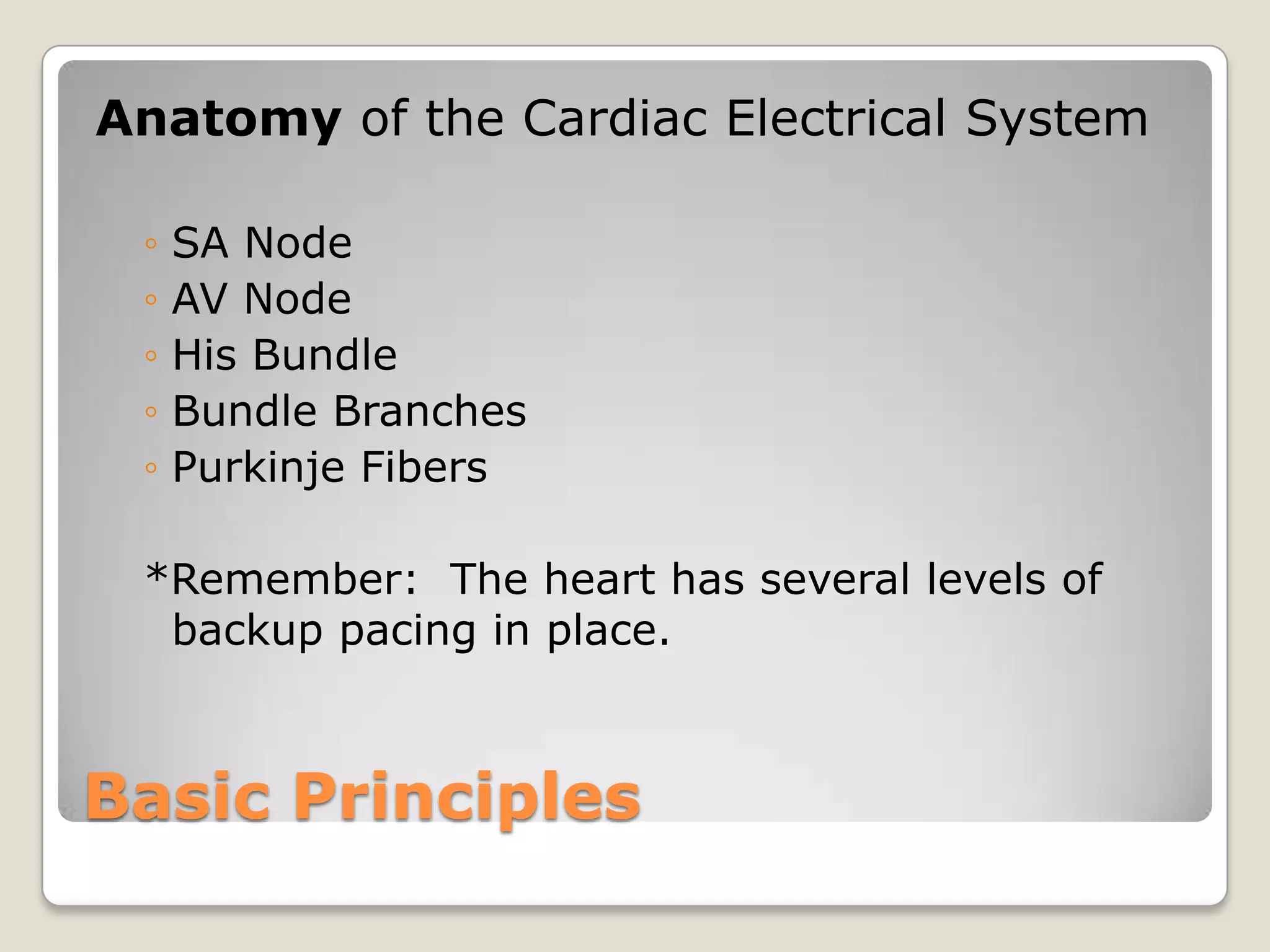 Introduction To Electrophysiology | PPTX