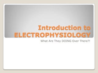 Introduction to ELECTROPHYSIOLOGY What Are They DOING Over There?! 