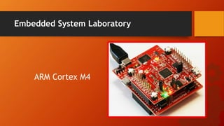 Introduction to Embedded Laboratory EC 8711 | PPTX