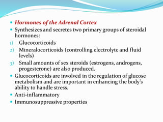  Hormones of the Adrenal Cortex
 Synthesizes and secretes two primary groups of steroidal
hormones:
1) Glucocorticoids
2) Mineralocorticoids (controlling electrolyte and fluid
levels)
3) Small amounts of sex steroids (estrogens, androgens,
progesterone) are also produced.
 Glucocorticoids are involved in the regulation of glucose
metabolism and are important in enhancing the body’s
ability to handle stress.
 Anti-inflammatory
 Immunosuppressive properties
 
