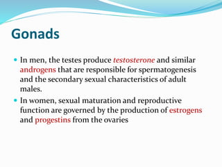 Gonads
 In men, the testes produce testosterone and similar
androgens that are responsible for spermatogenesis
and the secondary sexual characteristics of adult
males.
 In women, sexual maturation and reproductive
function are governed by the production of estrogens
and progestins from the ovaries
 