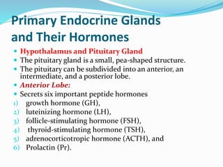 Primary Endocrine Glands
and Their Hormones
 Hypothalamus and Pituitary Gland
 The pituitary gland is a small, pea-shaped structure.
 The pituitary can be subdivided into an anterior, an
intermediate, and a posterior lobe.
 Anterior Lobe:
 Secrets six important peptide hormones
1) growth hormone (GH),
2) luteinizing hormone (LH),
3) follicle-stimulating hormone (FSH),
4) thyroid-stimulating hormone (TSH),
5) adrenocorticotropic hormone (ACTH), and
6) Prolactin (Pr).
 