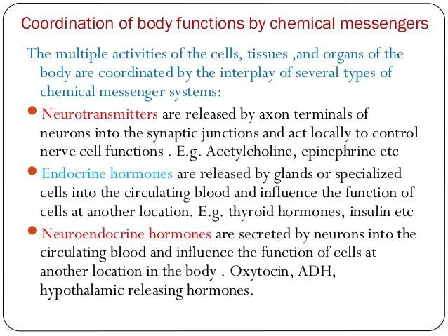 2 axon body case physiology Introduction 2nd to yr) endocrine ( bds mbbs 2 axon body case physiology Introduction 2nd to yr) endocrine ( bds mbbs