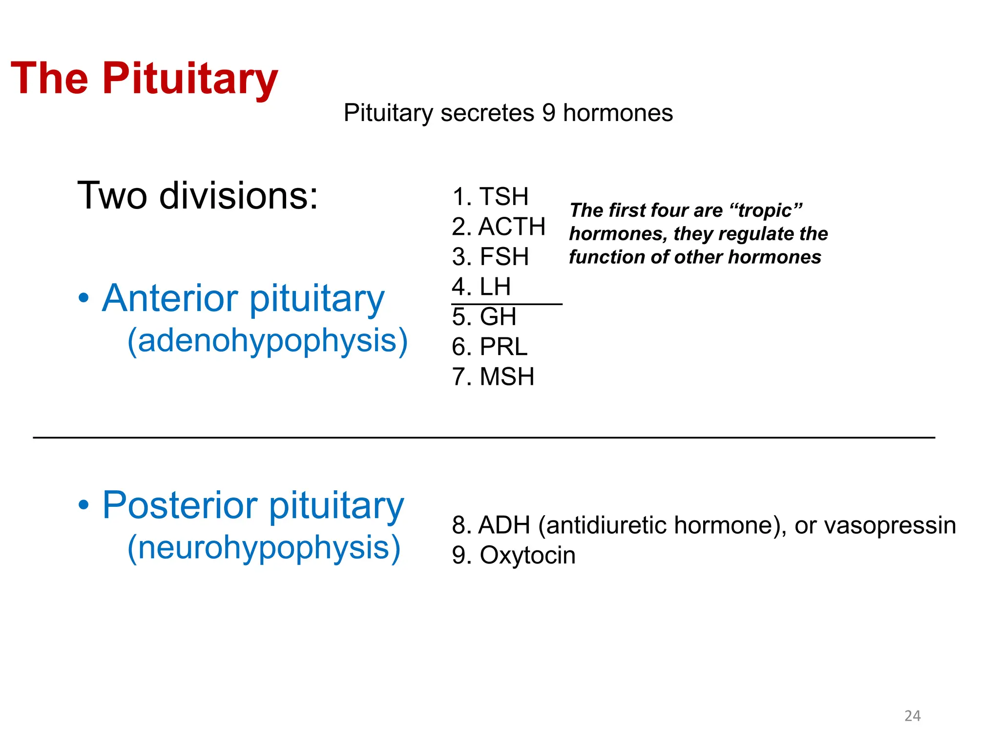 Two divisions:
• Anterior pituitary
(adenohypophysis)
• Posterior pituitary
(neurohypophysis)
Pituitary secretes 9 hormones
The Pituitary
1. TSH
2. ACTH
3. FSH
4. LH
5. GH
6. PRL
7. MSH
8. ADH (antidiuretic hormone), or vasopressin
9. Oxytocin
_________________________________________________________________
The first four are “tropic”
hormones, they regulate the
function of other hormones
________
24
 